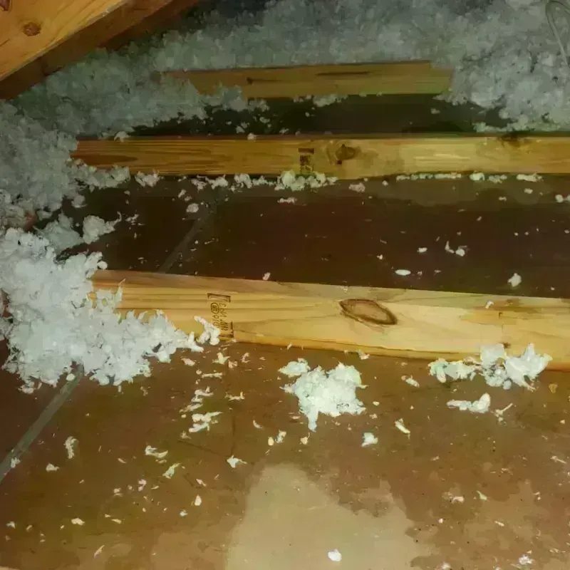 Attic Water Damage in Milton, MA